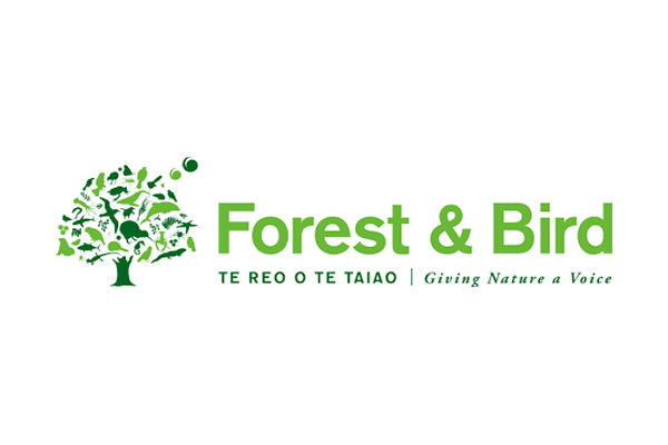 Forest and Bird
